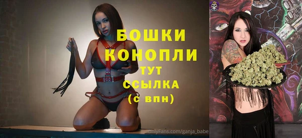 ГАЛЛЮЦИНОГЕННЫЕ ГРИБЫ Баксан