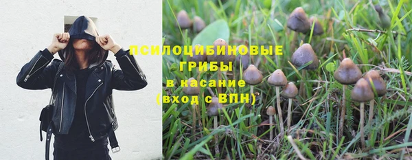 ГАЛЛЮЦИНОГЕННЫЕ ГРИБЫ Баксан