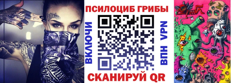 Псилоцибиновые грибы Magic Shrooms  mega ТОР  Райчихинск  где купить наркотик 