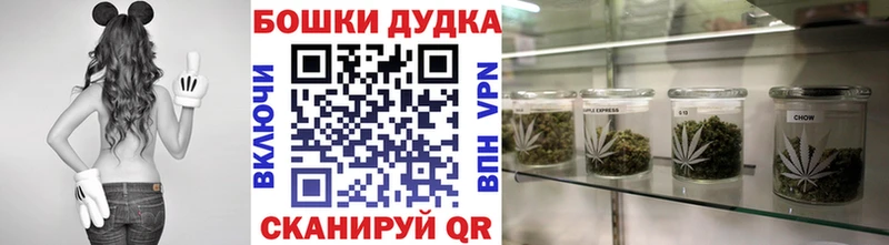Бошки Шишки THC 21%  сайты даркнета какой сайт  Райчихинск 